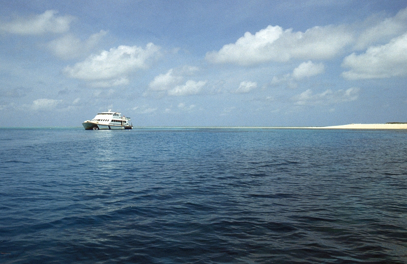 653_Bij Michaelmas Kay, Cairns - Groot Barriere rif.jpg